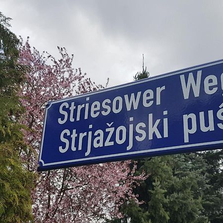 2 Raum Gartenwohnung Am Spreewaldradweg In Chociebuż Zewnętrze zdjęcie